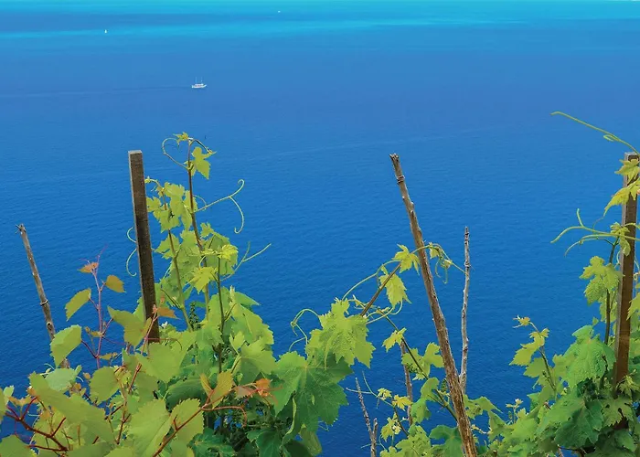 Cozy In With Wifi Apartman Žuljana