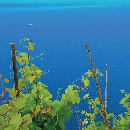 Cozy In With Wifi Apartment Žuljana